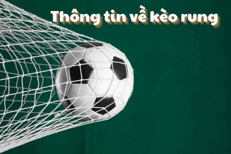 Người chơi nên cân nhắc về thời điểm để tiến hành đặt cược